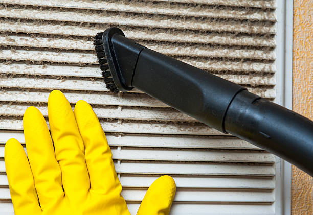 Best Affordable Duct Cleaning Services  in Louisburg, KS